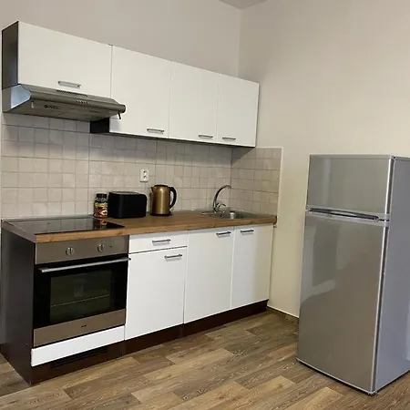Apartment Cerny Tulipan - 2 Plzen