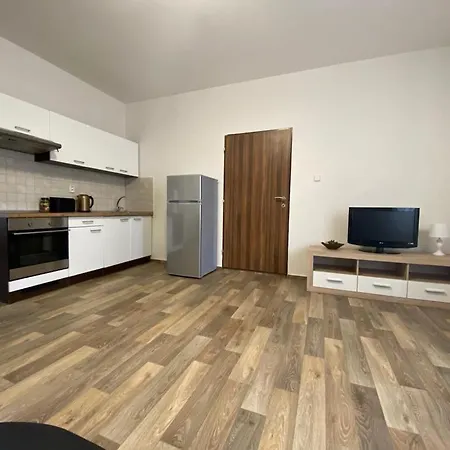 Cerny Tulipan - 2 Lejlighed Plzeň