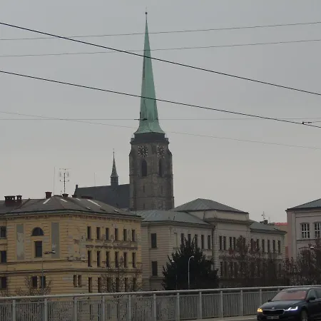 Cerny Tulipan - 2 * Plzeň