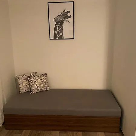 Cerny Tulipan - 2 * Plzeň