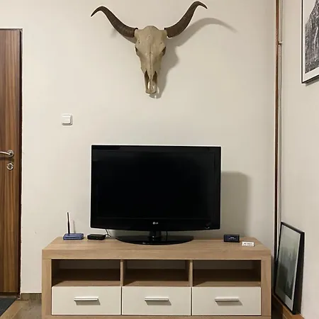 公寓 Cerny Tulipan - 2 比尔森