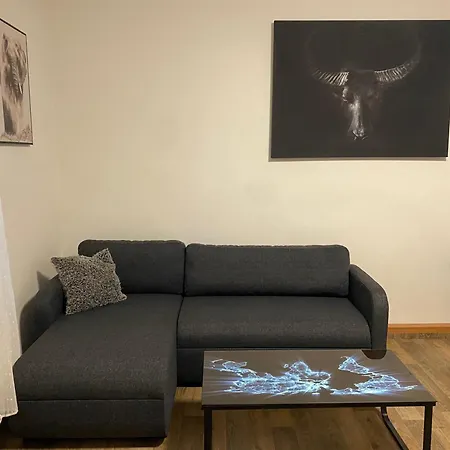 Apartmán černý Tulipán - 2 Plzeň