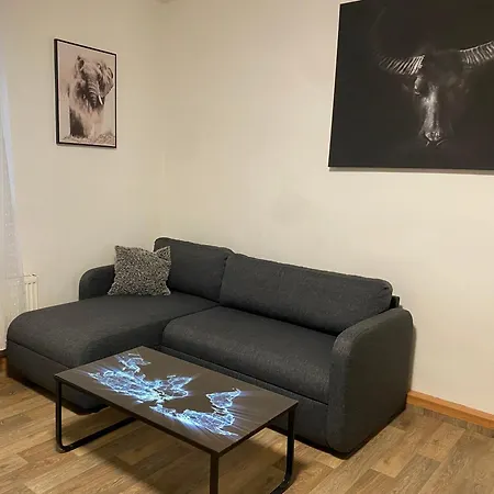Cerny Tulipan - 2 Plzen