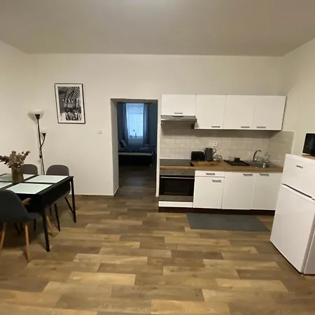 Apartmán černý Tulipán - 2
