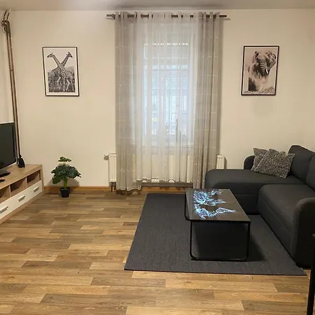 Cerny Tulipan - 2 Plzen