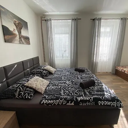 Cerny Tulipan - 2 * Plzen