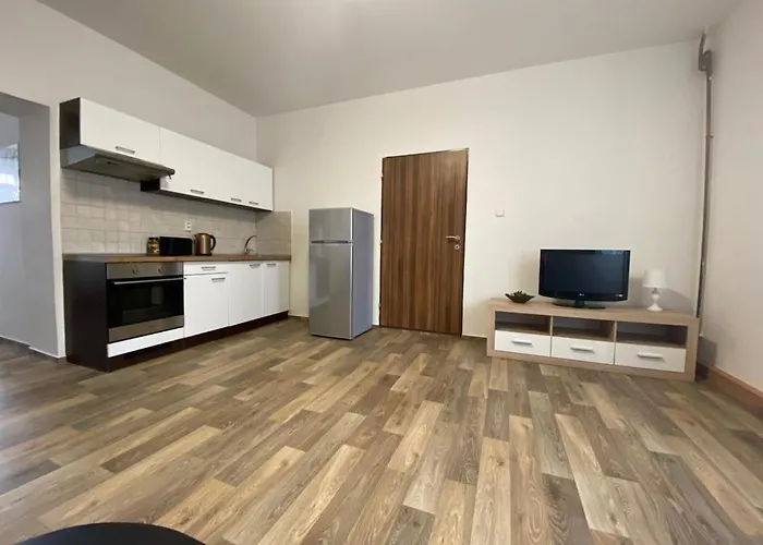 Cerny Tulipan - 2 شقة بلزن