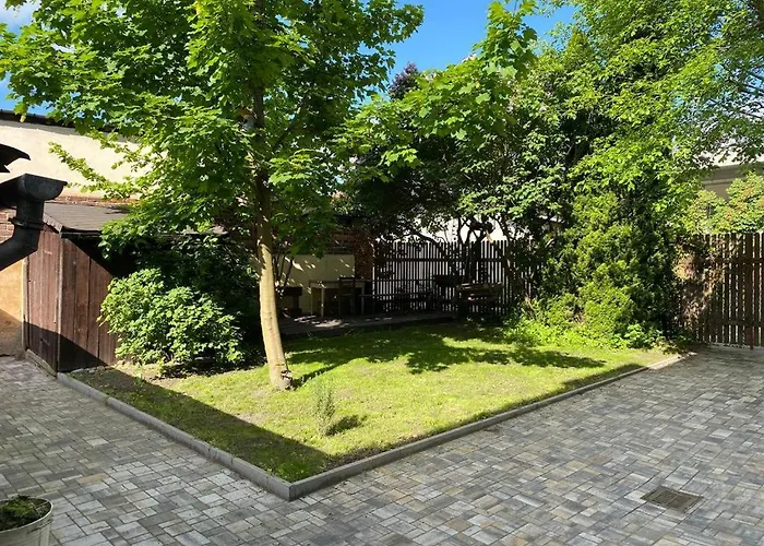 Cerny Tulipan - 2 * بلزن