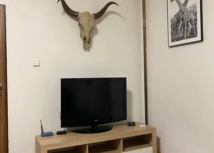 شقة Cerny Tulipan - 2 *