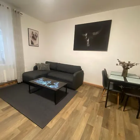 Cerny Tulipan - 2 Plzeň