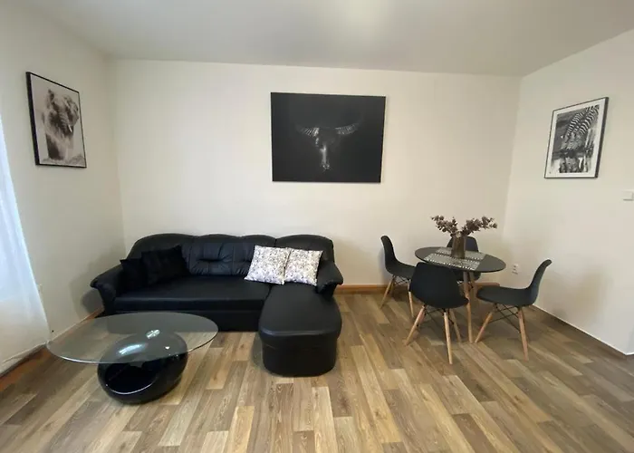 Cerny Tulipan - 2 * Plzeň