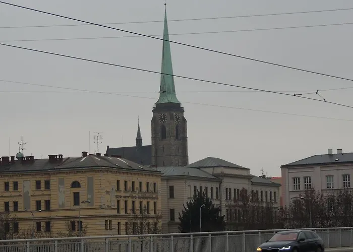 Cerny Tulipan - 2 * Plzeň