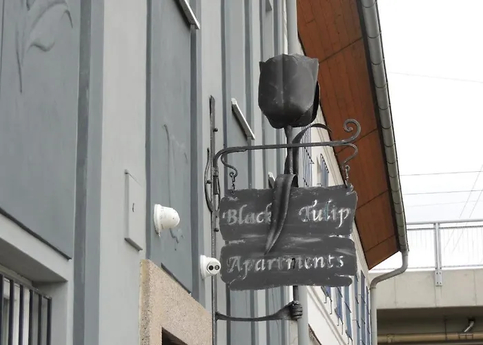 Cerny Tulipan - 2 Plzeň