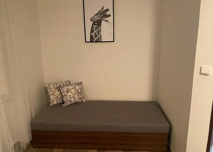 Cerny Tulipan - 2 * Plzeň