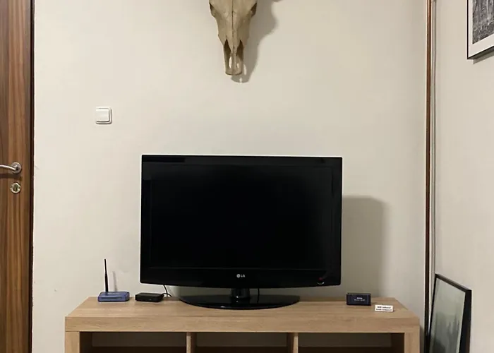 Appartement Cerny Tulipan - 2 Plzeň