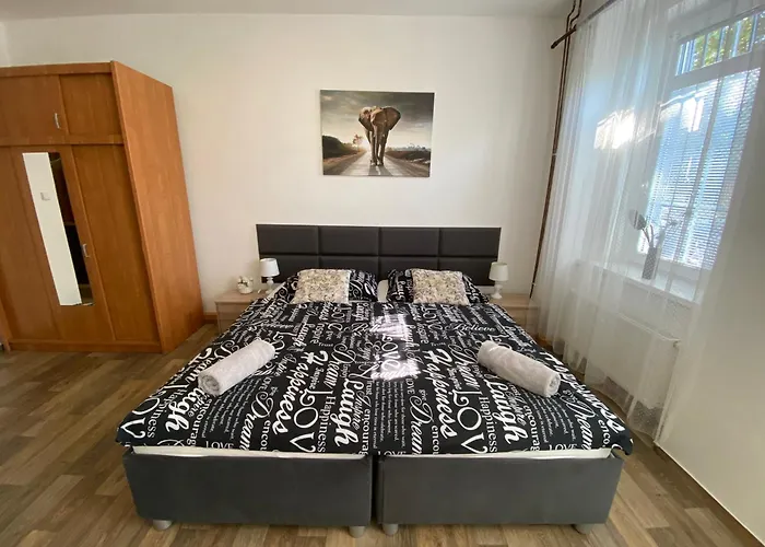 Cerny Tulipan - 2 Appartement Plzeň