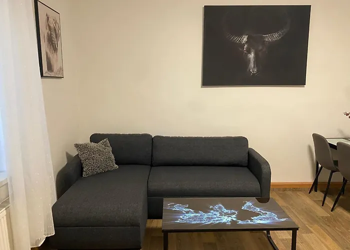 Appartement Cerny Tulipan - 2 Plzeň