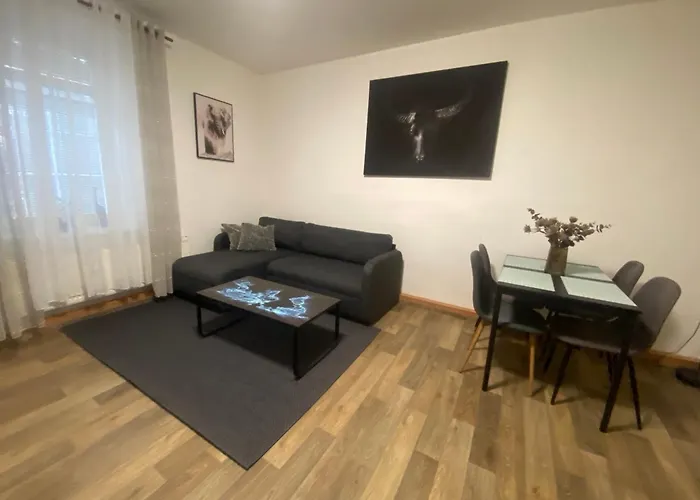 Cerny Tulipan - 2 Plzeň