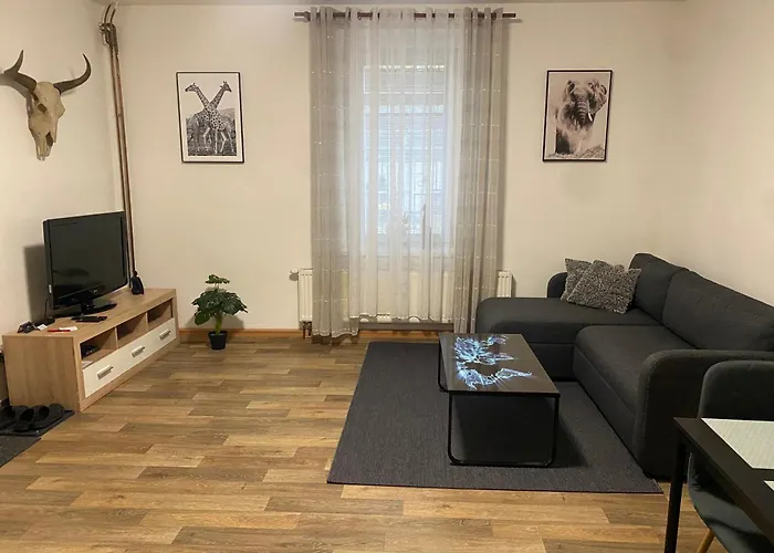 Cerny Tulipan - 2 Plzeň